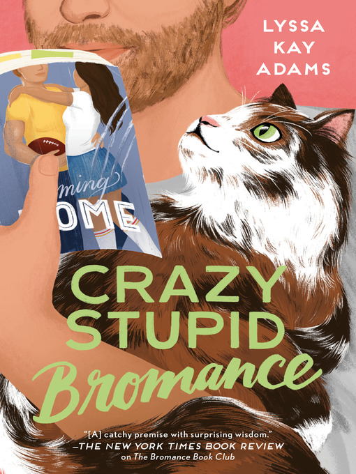 Cover image for Crazy Stupid Bromance